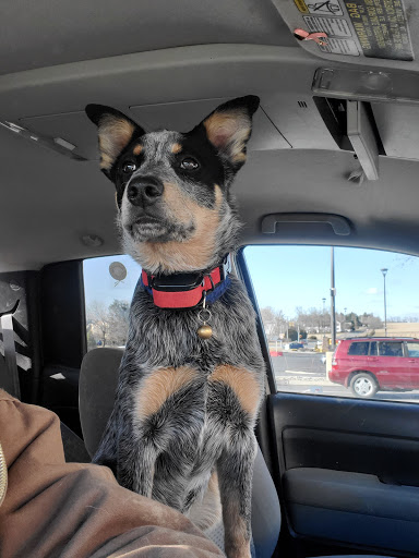 Liquor Store «Fine Wine & Good Spirits», reviews and photos, 107 Kinsley Lane #104, Brodheadsville, PA 18322, USA