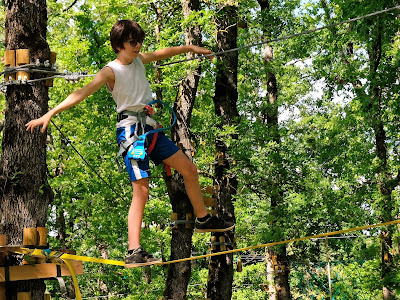 Parc aventure Accro-Tyro. Accrobranche à Cordes sur Ciel à Vindrac-Alayrac