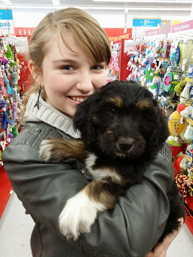 Pet Supply Store «Petco Animal Supplies», reviews and photos, 6280 S Westnedge Ave, Portage, MI 49002, USA