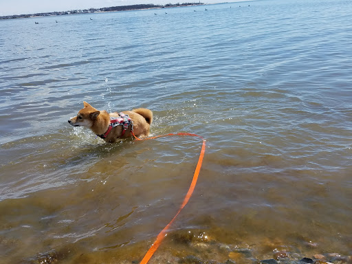 Nature Preserve «Sandy Point Bird Sanctuary», reviews and photos, Beach St, West Haven, CT 06516, USA