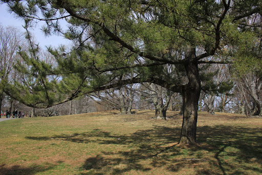 Dog Park «Brookdale Dog Park», reviews and photos, W Circuit Dr, Montclair, NJ 07043, USA