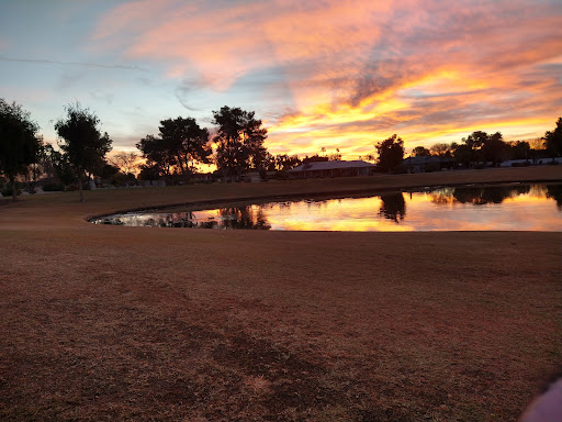 Golf Course «Willow Creek Golf Course», reviews and photos, 10600 N Boswell Blvd, Sun City, AZ 85351, USA