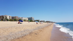 Foto di Platja dels Gossos area servizi