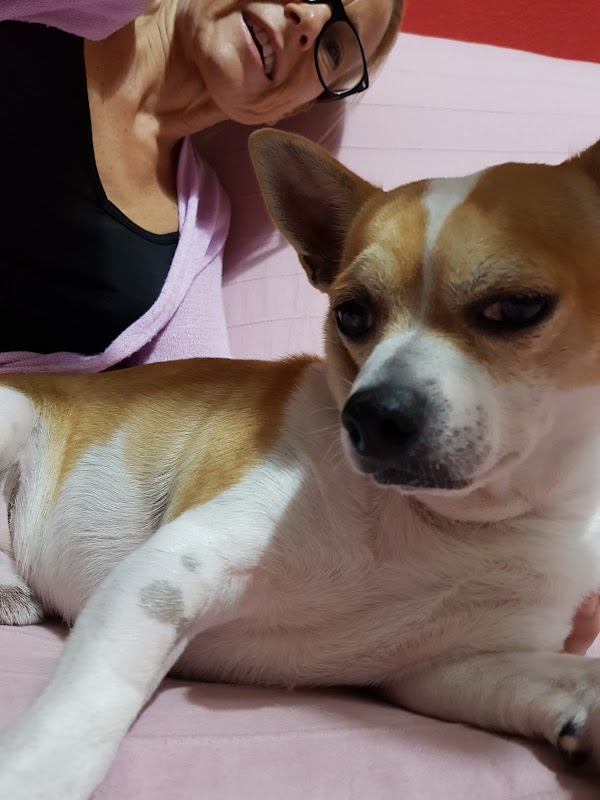 Imagen de Estoril Hospital Veterinario (15 de 21)