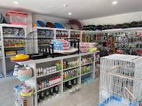 Pets' House - Photo 5 - Car repair in San Juan, Puerto Rico, San Juan