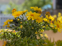 Bolour / Carl Immigration Group - Photo 9 - Car repair in Salinas, CA, Salinas