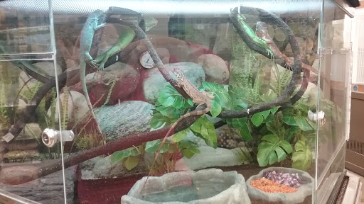 Pet Supply Store «Petco Animal Supplies», reviews and photos, 129 Mall Way, Marysville, WA 98270, USA