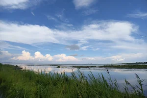 Long Point Provincial Park image