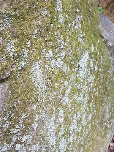 Park «Bechtel Park», reviews and photos, Naamans Rd, Claymont, DE 19703, USA