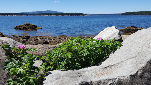 Vista Point «Schoodic Point», reviews and photos, Arey Cove Rd, Winter Harbor, ME 04693, USA