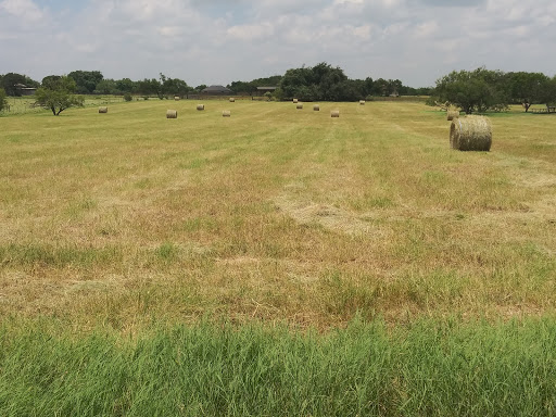 Poultry Farm «R Farm», reviews and photos, 1041 Farm-To-Market 2537, San Antonio, TX 78221, USA