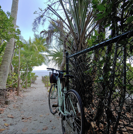 Bicycle Store «Finnimore Cycle Shop», reviews and photos, 2353 Periwinkle Way, Sanibel, FL 33957, USA