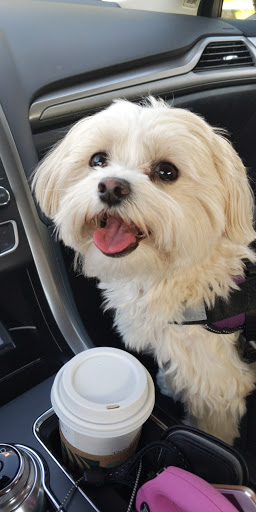 Pet Supply Store «PetSmart», reviews and photos, 30 Malphrus Rd, Bluffton, SC 29910, USA