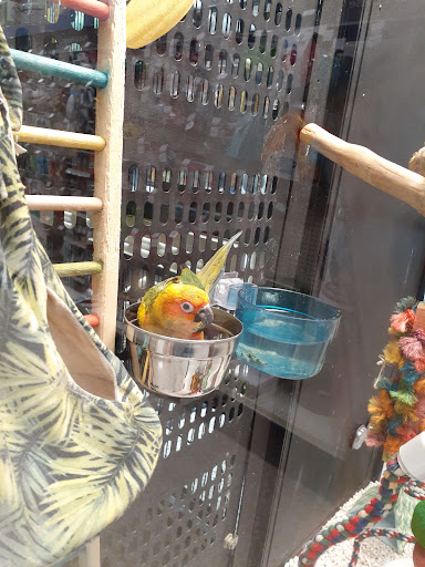 Pet Supply Store «PetSmart», reviews and photos, 1183 Berkshire Blvd, Wyomissing, PA 19610, USA