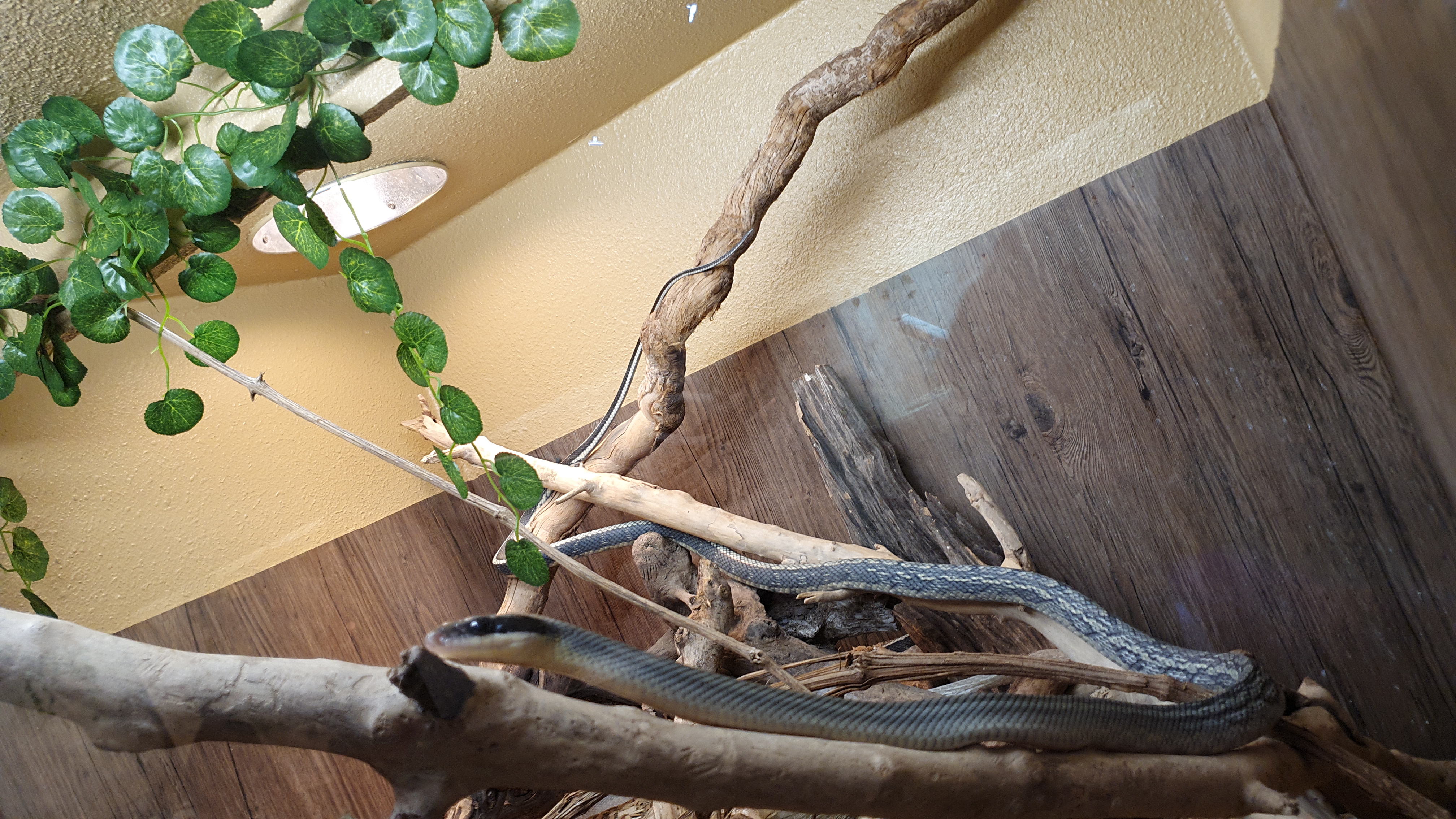 Photo n° 13 de l'avis de Laëtitia.E fait le 25/07/2020 à 00:11