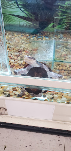 Pet Supply Store «PetSmart», reviews and photos, 3630 Peachtree Pkwy, Suwanee, GA 30024, USA