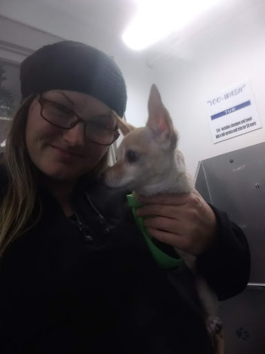 Pet Groomer «Blue Ribbon Dog Grooming LLC Anderson», reviews and photos, 5038 S Scatterfield Rd, Anderson, IN 46013, USA