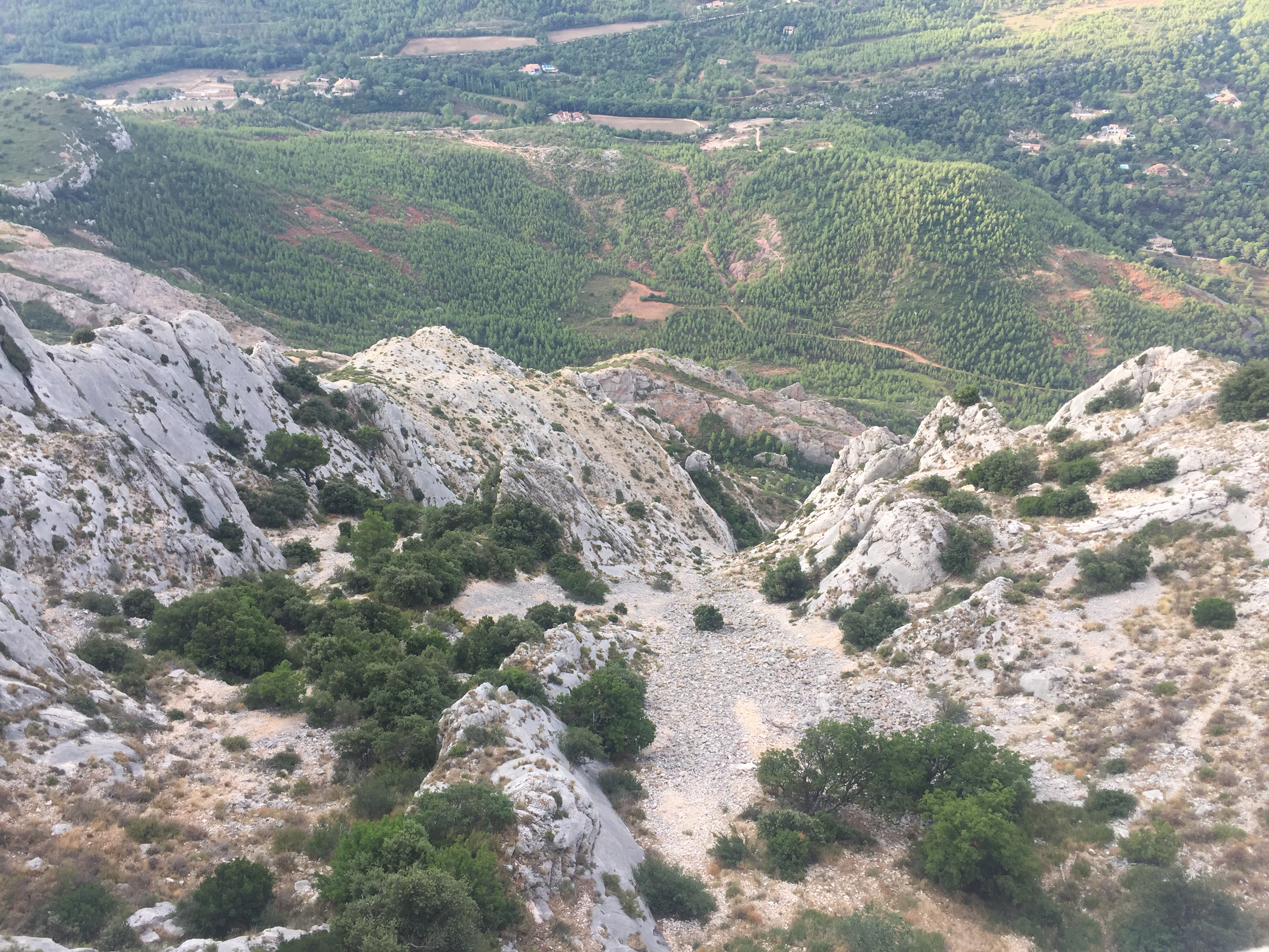 Photo n° 1 de l'avis de Woosuk. fait le 31/08/2019 à 11:22