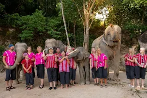 Kerchor​ Elephant​ Family​ Phuket image