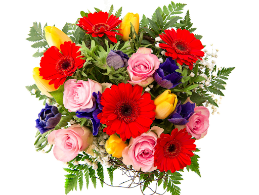 Florist «Cedar Grove Gardens», reviews and photos, 911 Adams St, Dorchester Center, MA 02124, USA