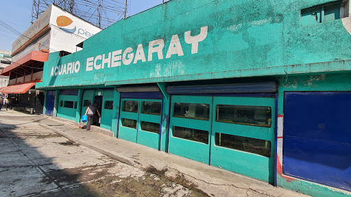 Acuario Echegaray