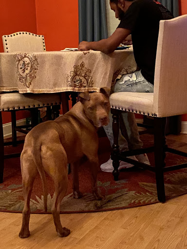 St Bernard Veterinary Hospital image