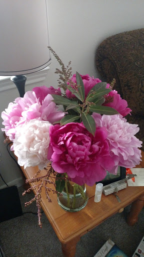 Florist «Mia fiori», reviews and photos, 5840 Legacy Cir D165, Plano, TX 75024, USA