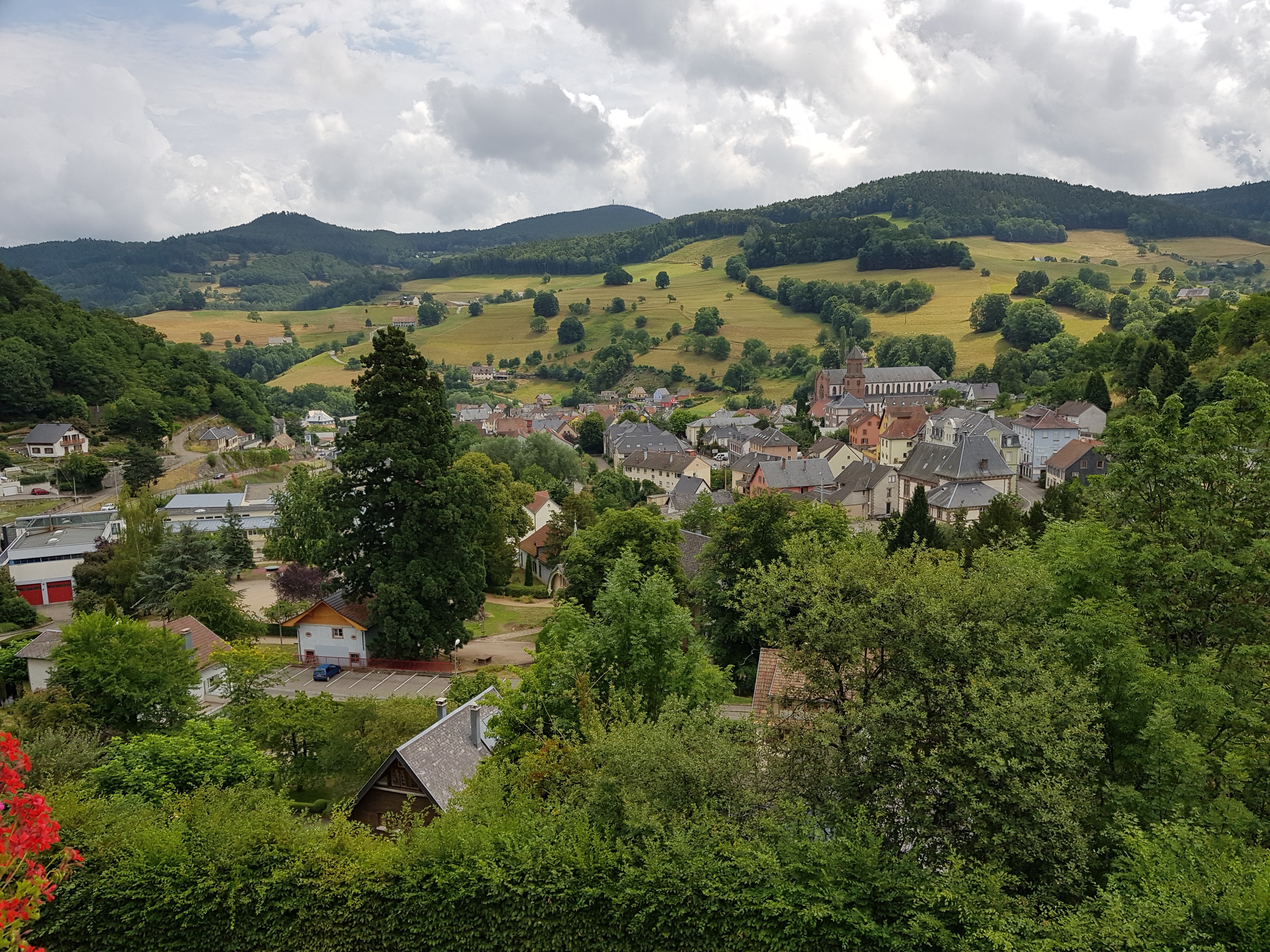 Photo n° 1 de l'avis de Michel. fait le 27/07/2019 à 10:33