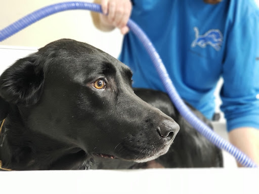 Pet Supply Store «Bark Avenue», reviews and photos, 4781 Granite Dr, Rocklin, CA 95677, USA