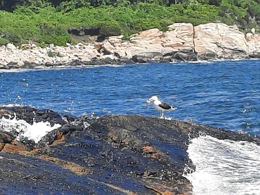 Hiking Area «Black Point Trailhead», reviews and photos, 655 Ocean Rd, Narragansett, RI 02882, USA
