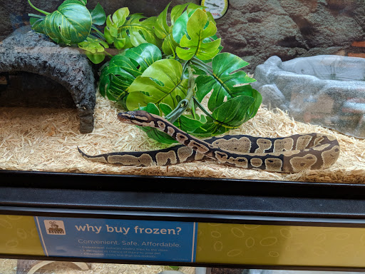 Pet Supply Store «Petco Animal Supplies», reviews and photos, 1919 El Camino Real, Mountain View, CA 94040, USA