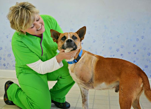 Steele April DVM image