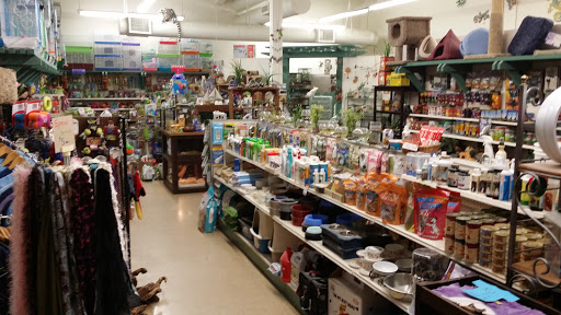Pet Supply Store «Village Pet Shop», reviews and photos, 3008 Pacific Ave, Livermore, CA 94550, USA