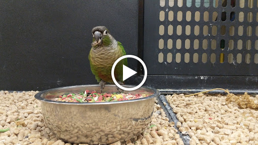 Pet Supply Store «PetSmart», reviews and photos, 8111 Brier Creek Pkwy, Raleigh, NC 27617, USA