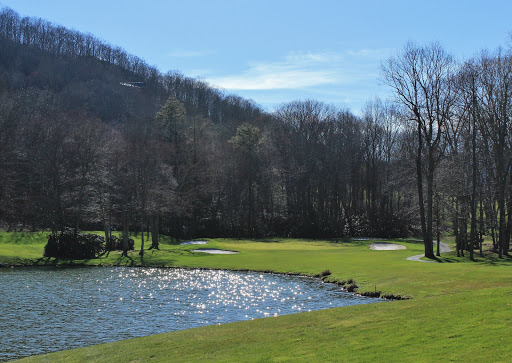 Golf Course «Mountain Glen Golf Club», reviews and photos, 1 Club house Dr, Newland, NC 28657, USA