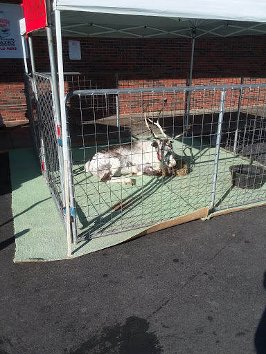 Grocery Store «IGA», reviews and photos, 1010 N Washington Ave, Cookeville, TN 38501, USA