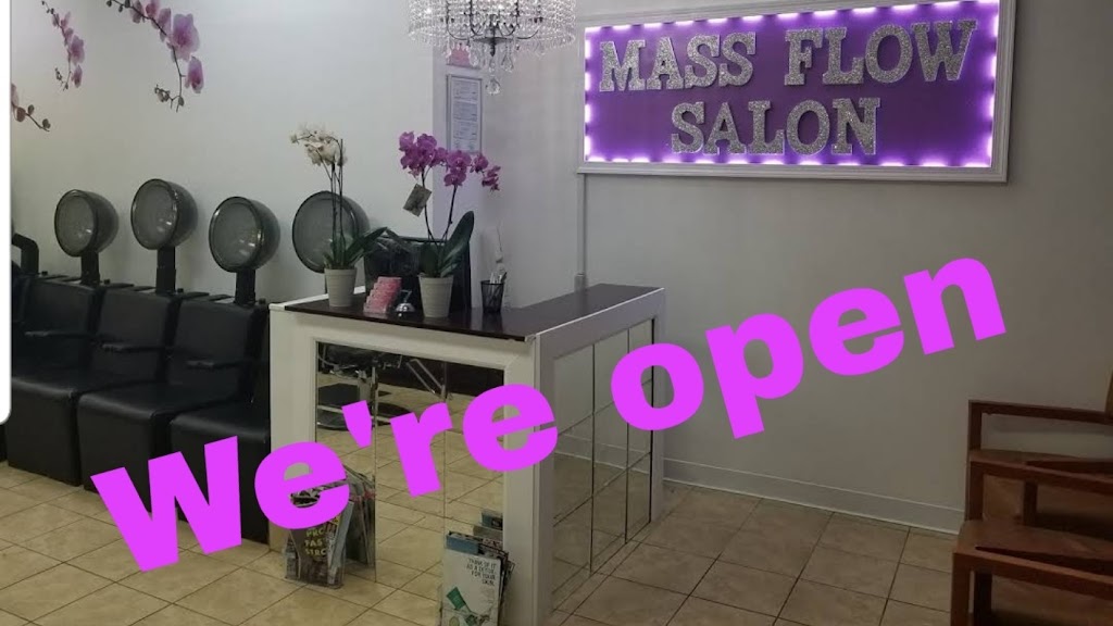Mass Flow Salon 23234