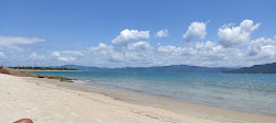 Praia da Daniela-Forte'in fotoğrafı vahşi alan