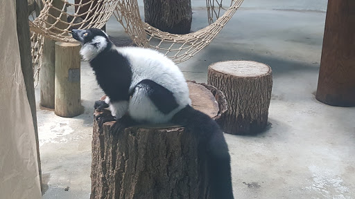 Zoo «Henry Vilas Zoo», reviews and photos, 702 S Randall Ave, Madison, WI 53715, USA