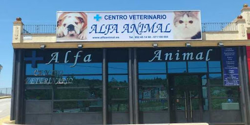 Centro Veterinario Alfa Animal