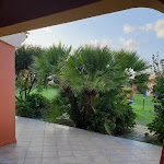 Photo n°2 de l'avis de Daniele.d fait le 21/08/2022 à 09:26 sur le  Hotel l'Esagono à San Teodoro