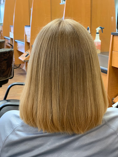 Hair Salon «Fantastic Sams Cut & Color», reviews and photos, 16761 Fishhawk Blvd, Lithia, FL 33547, USA