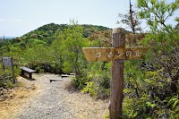 もりまち町民の森