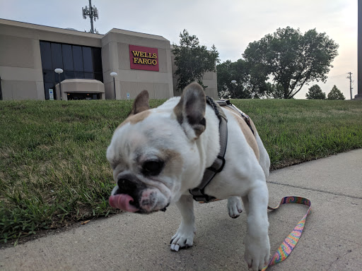 Bank «Wells Fargo Bank», reviews and photos