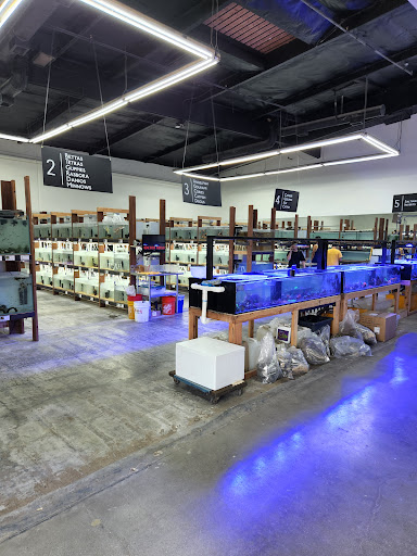 Tropical Fish Store «C K Fish World», reviews and photos, 410 N Azusa Ave, West Covina, CA 91791, USA