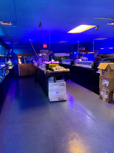 Tropical Fish Store «Saltwater Paradise», reviews and photos, 1313 W Airport Fwy, Irving, TX 75062, USA