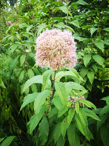 Park «Eden Park», reviews and photos, 950 Eden Park Dr, Cincinnati, OH 45202, USA