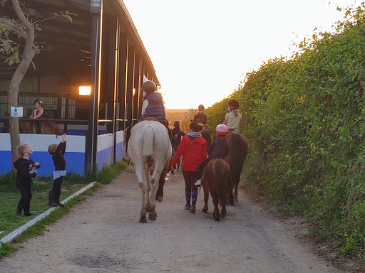 Lugares para montar en pony cerca de Sevilla