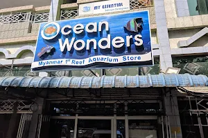 Ocean Wonders image