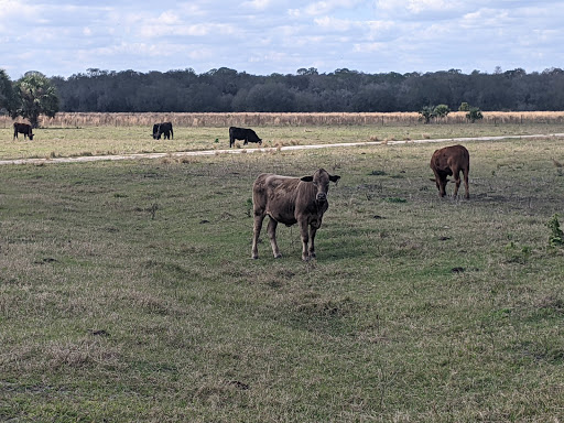 Nature Preserve «Marshall Hampton Reserve», reviews and photos, 3115 Thornhill Rd, Winter Haven, FL 33880, USA